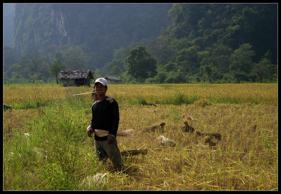 Reisbauer in der Khammouane Provinz, Laos