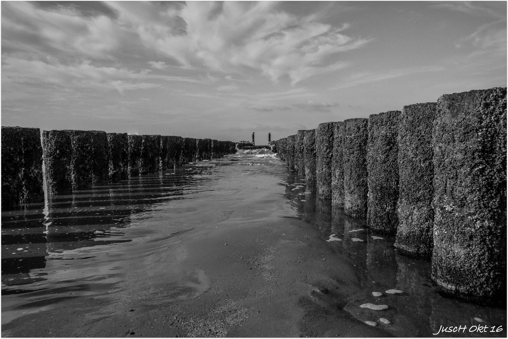 Reise ans holländische Meer 