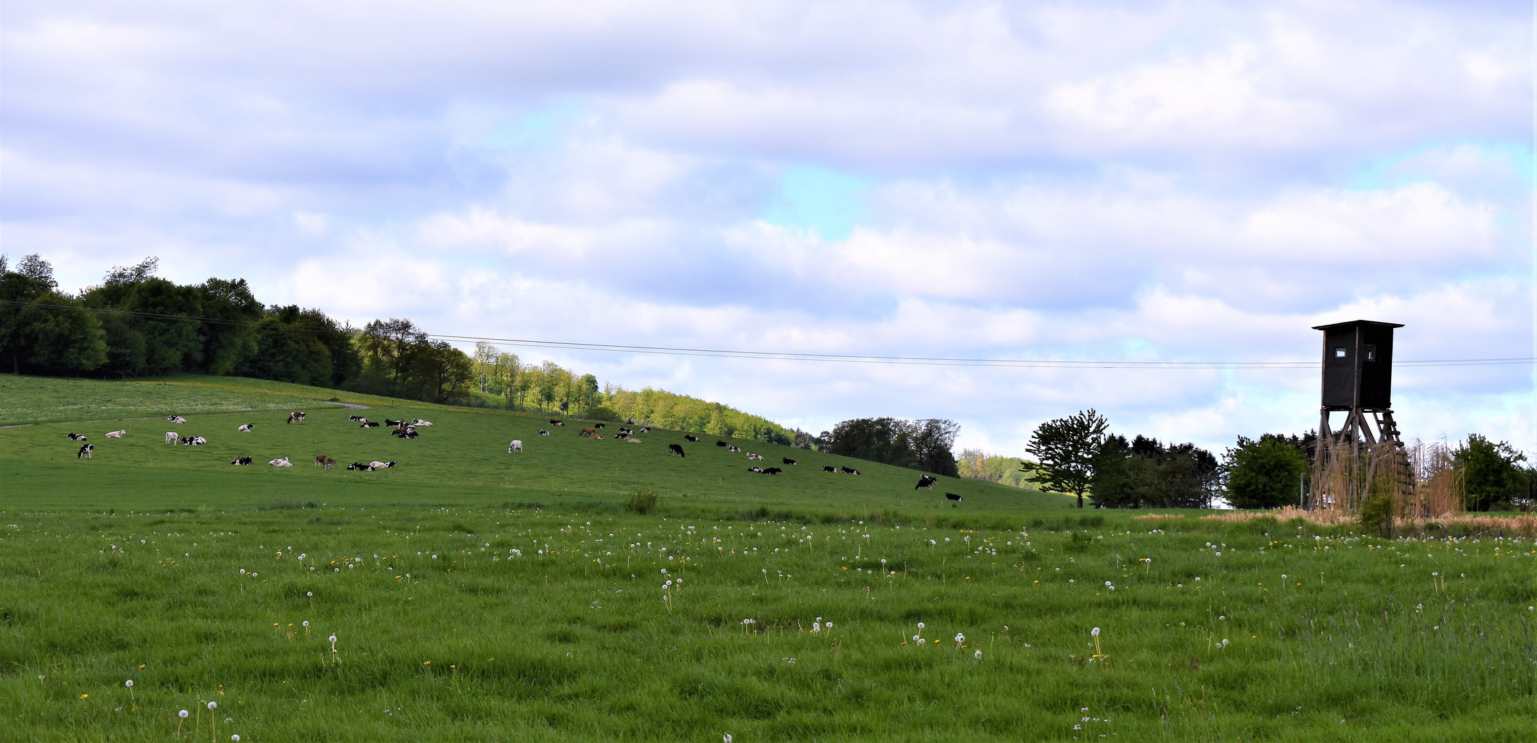 Reise durch das Sauerland Nr.3