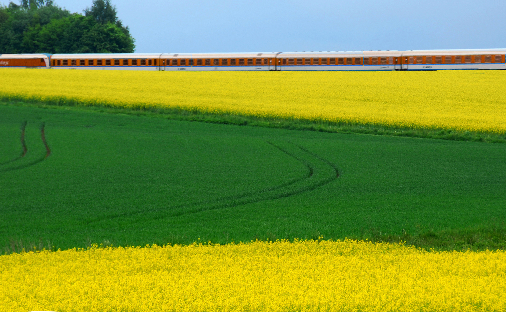 Reise durch den Frühling