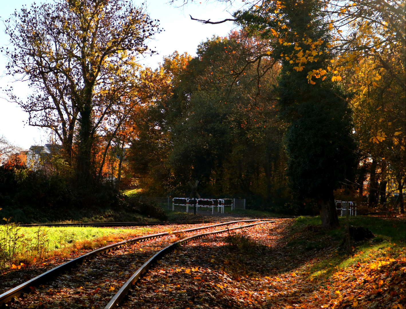 Reise durch den Herbst 3