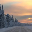 Reise in das kalte Licht