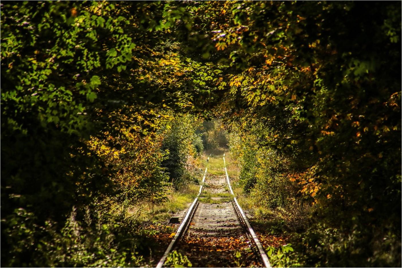 Reise in den Herbst