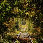 Reise in den Herbst