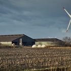 Reise in den Norden - Landwirtschaft an der Autobahn