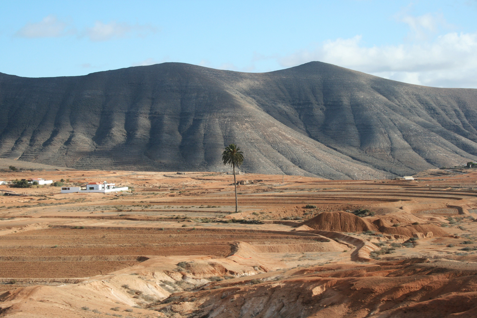 Reise in Fuerteventura