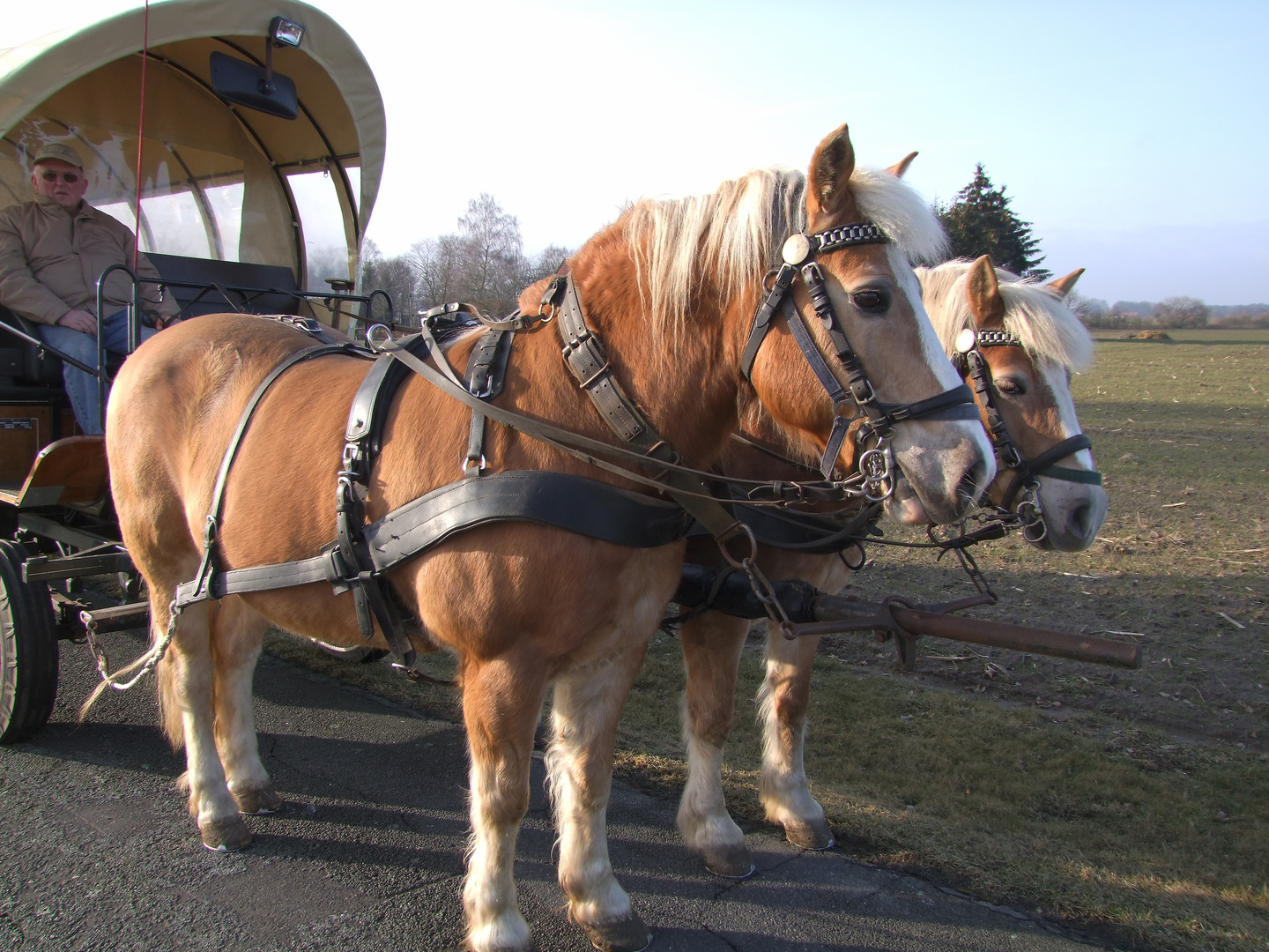 Reise mit dem Planwagen