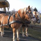 Reise mit dem Planwagen