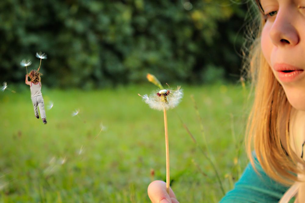 Reise mit der Pusteblume