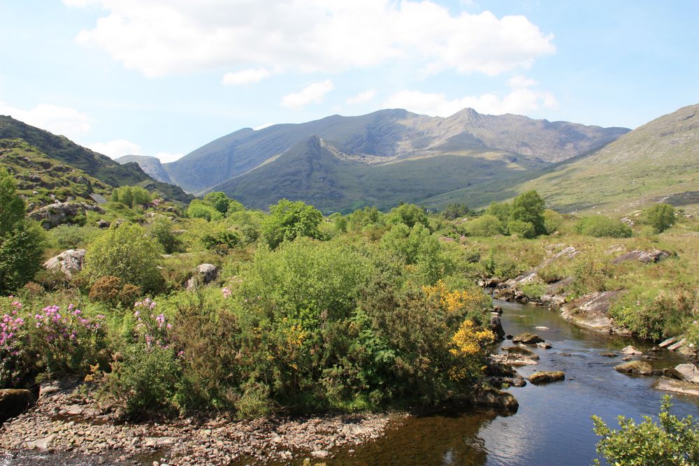 Reise nach Irland von alfajana 