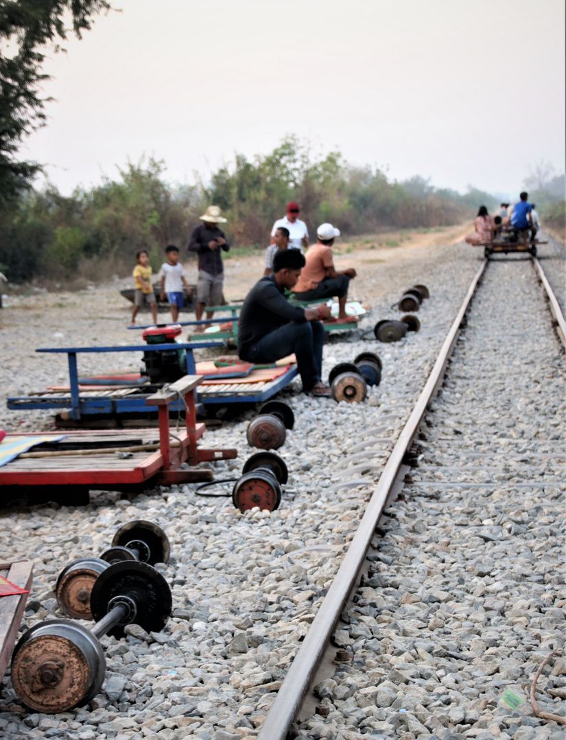 REISE Schiene Bamboo train Camb C75d-1146-col +6Fotos