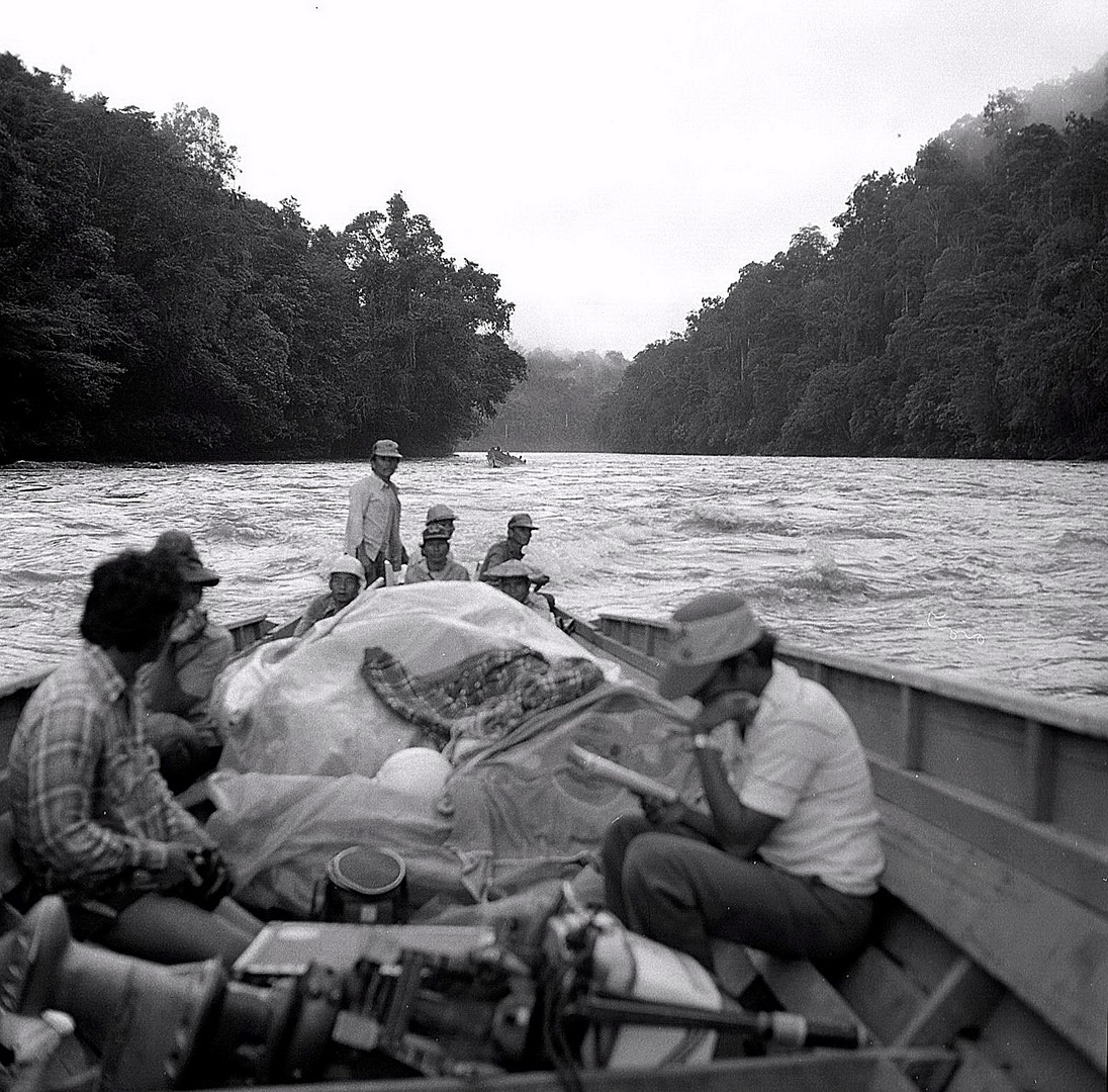 Reise zu den Dayak in Kalimantan Timur