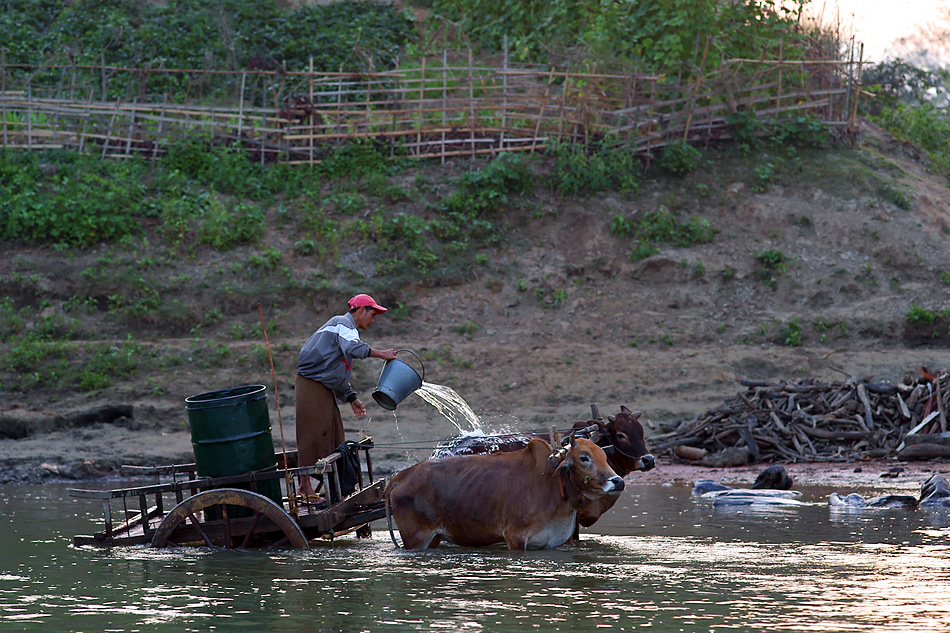 Reisebericht:  2009 - Teil 18 – Tierwaschszene am Fluss bei Myitkyina