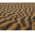 Reisebilder 14 -Sand-