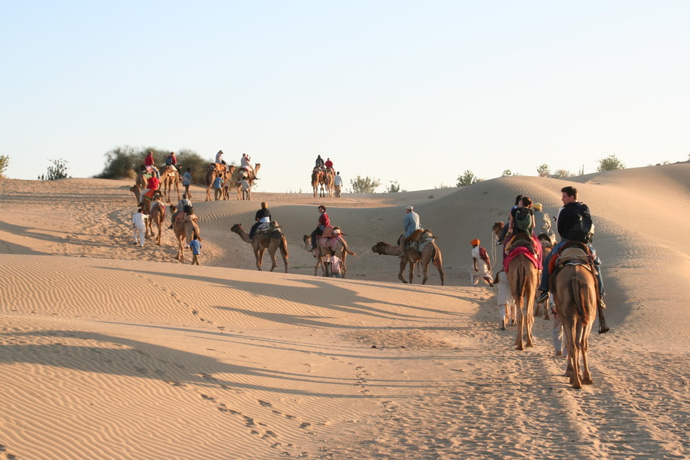 Reisegruppe Kameltour Indien REISEFOTOS Ü1400K