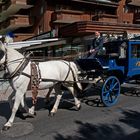 Reisen mit 2 PS in Zermatt