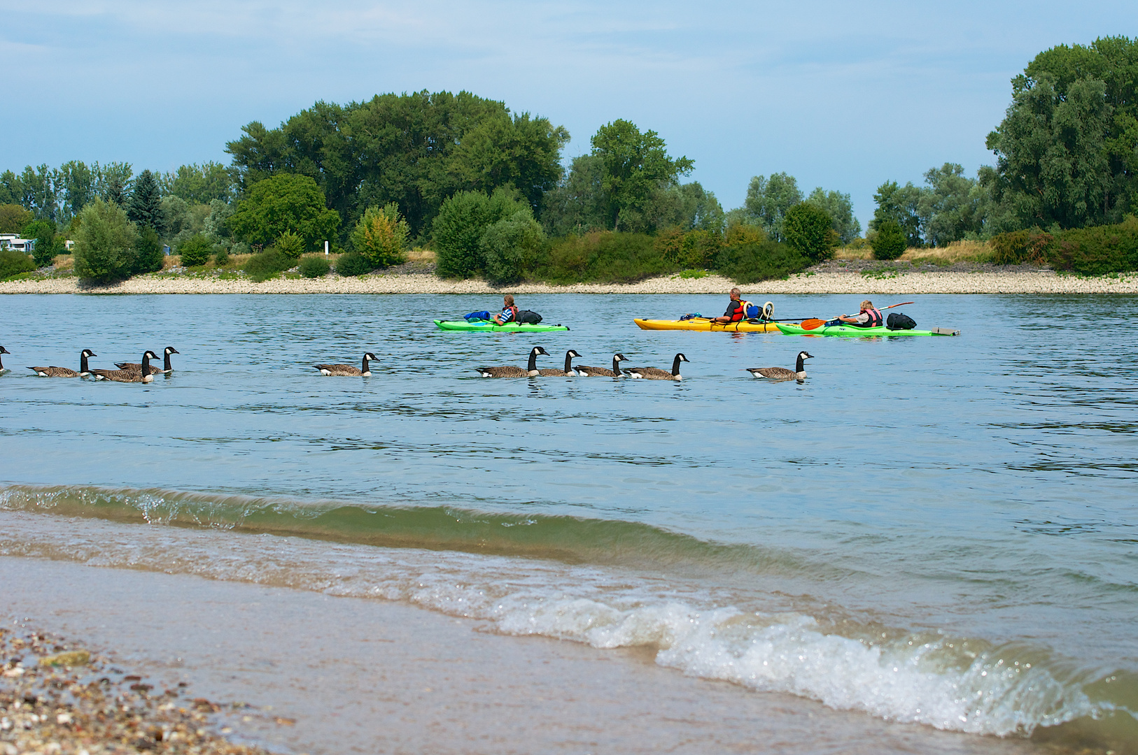 Reisende auf dem Rhein