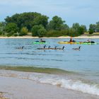 Reisende auf dem Rhein