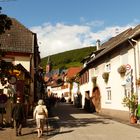 Reisetipp : St. Martin in der Pfalz !