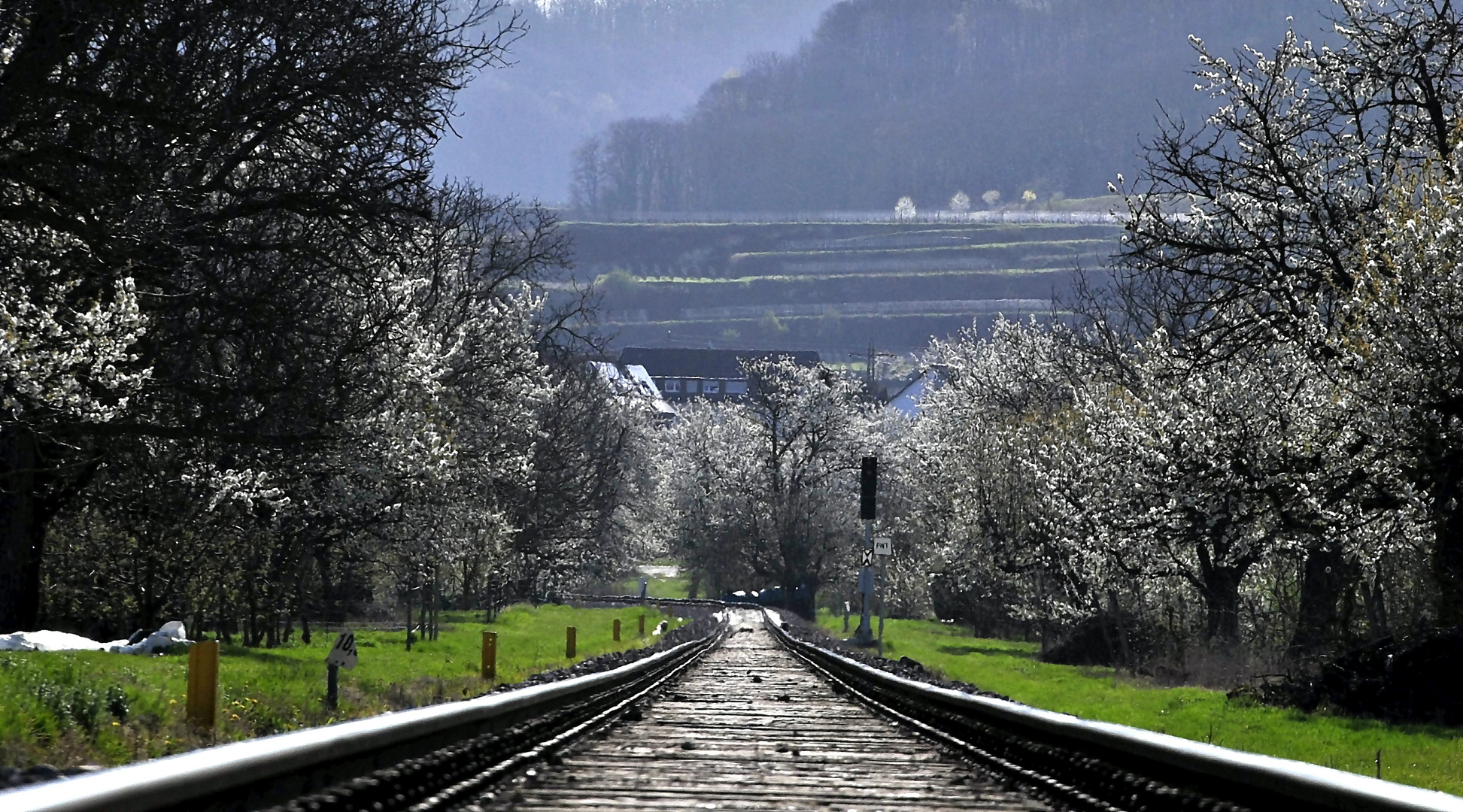 Reiseziel Frühlingssonne am Kaiserstuhl