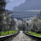 Reiseziel Frühlingssonne am Kaiserstuhl