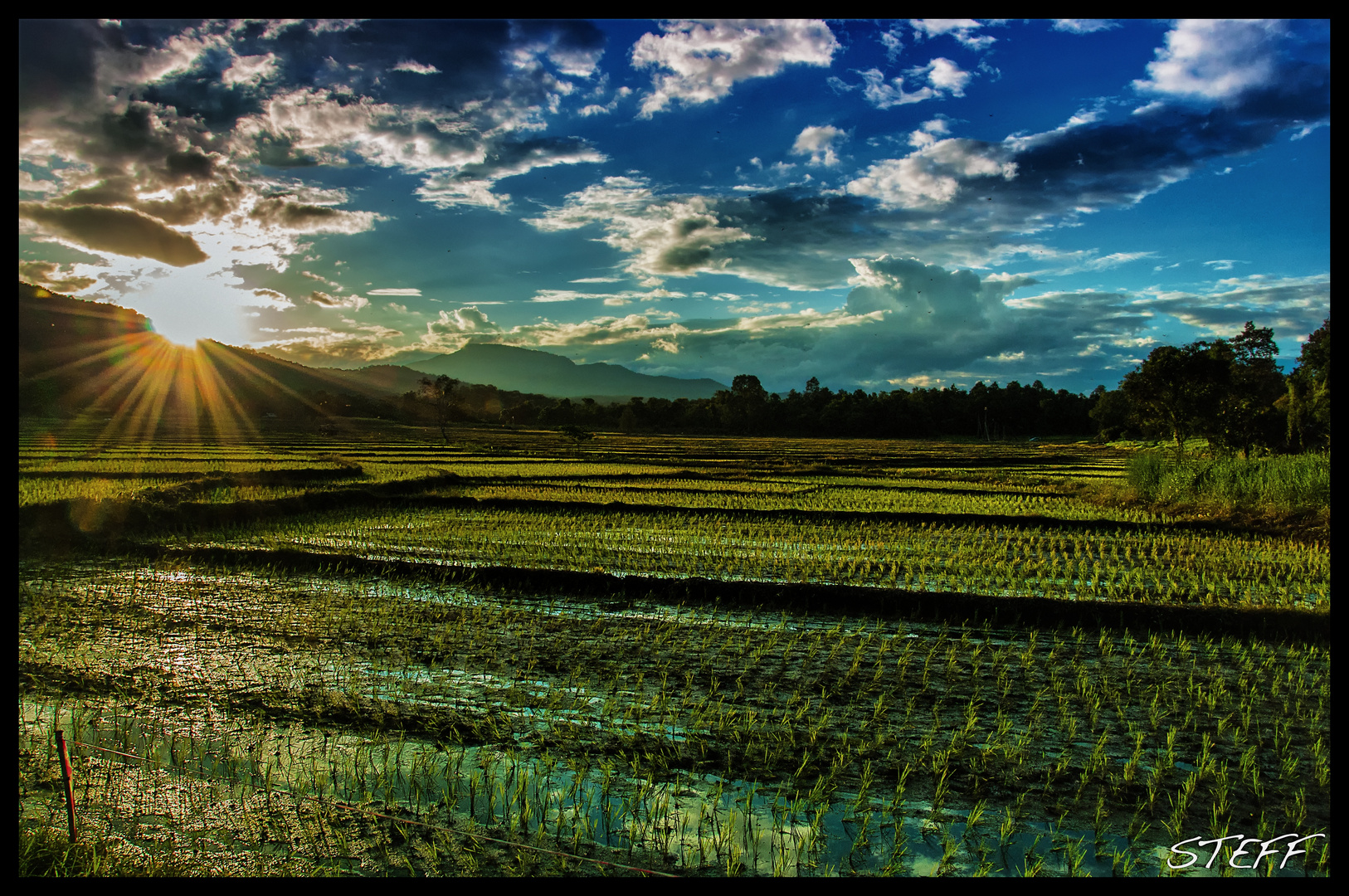 Reisfeld Foto & Bild world, asia, thailand Bilder auf