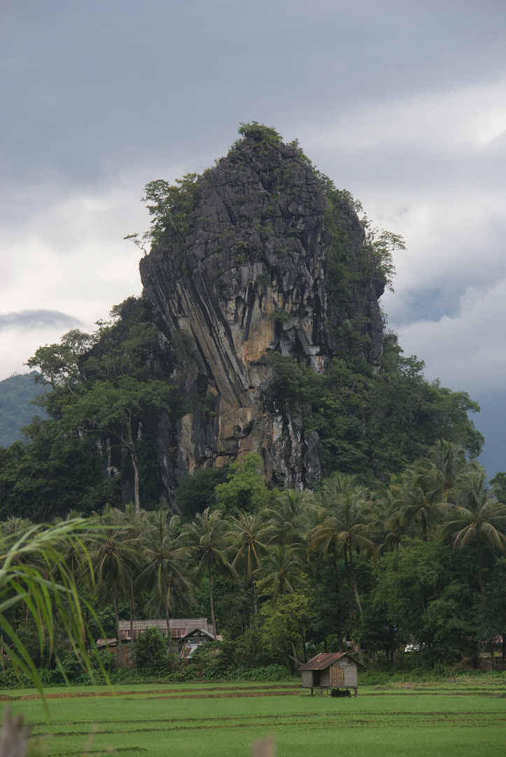 reisfeld und drachenfelsen nahe vang vieng, laos 2010