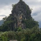 reisfeld und drachenfelsen nahe vang vieng, laos 2010