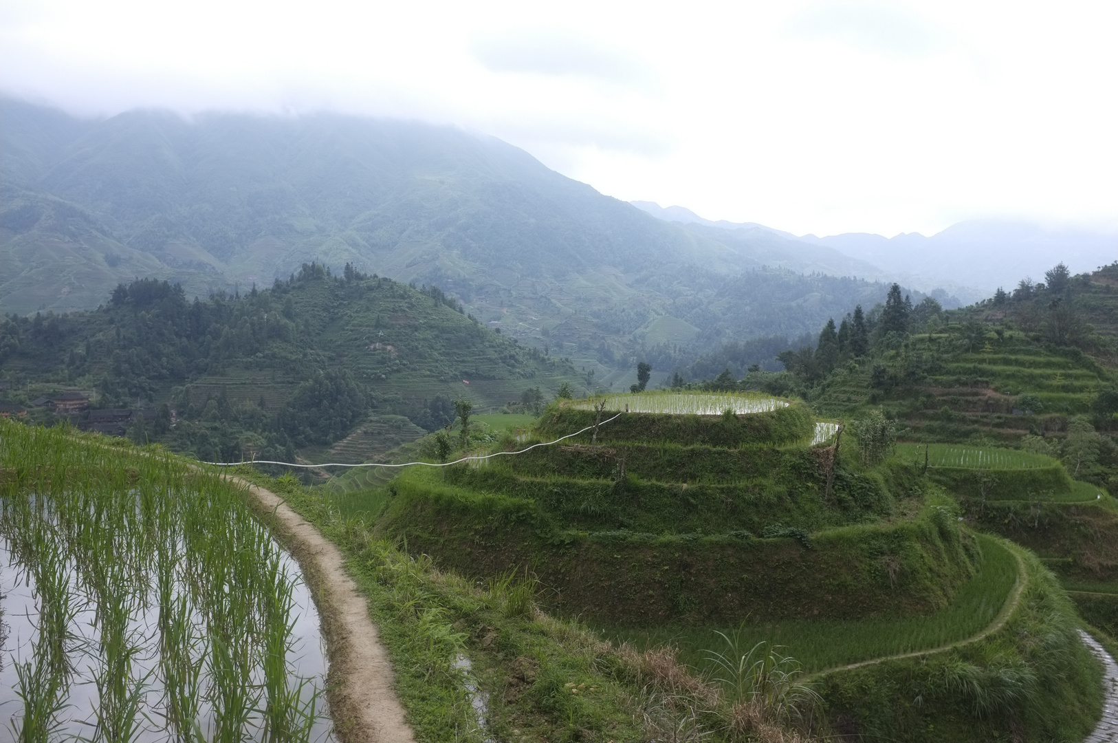 Reisfelder bei Guilin