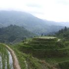 Reisfelder bei Guilin