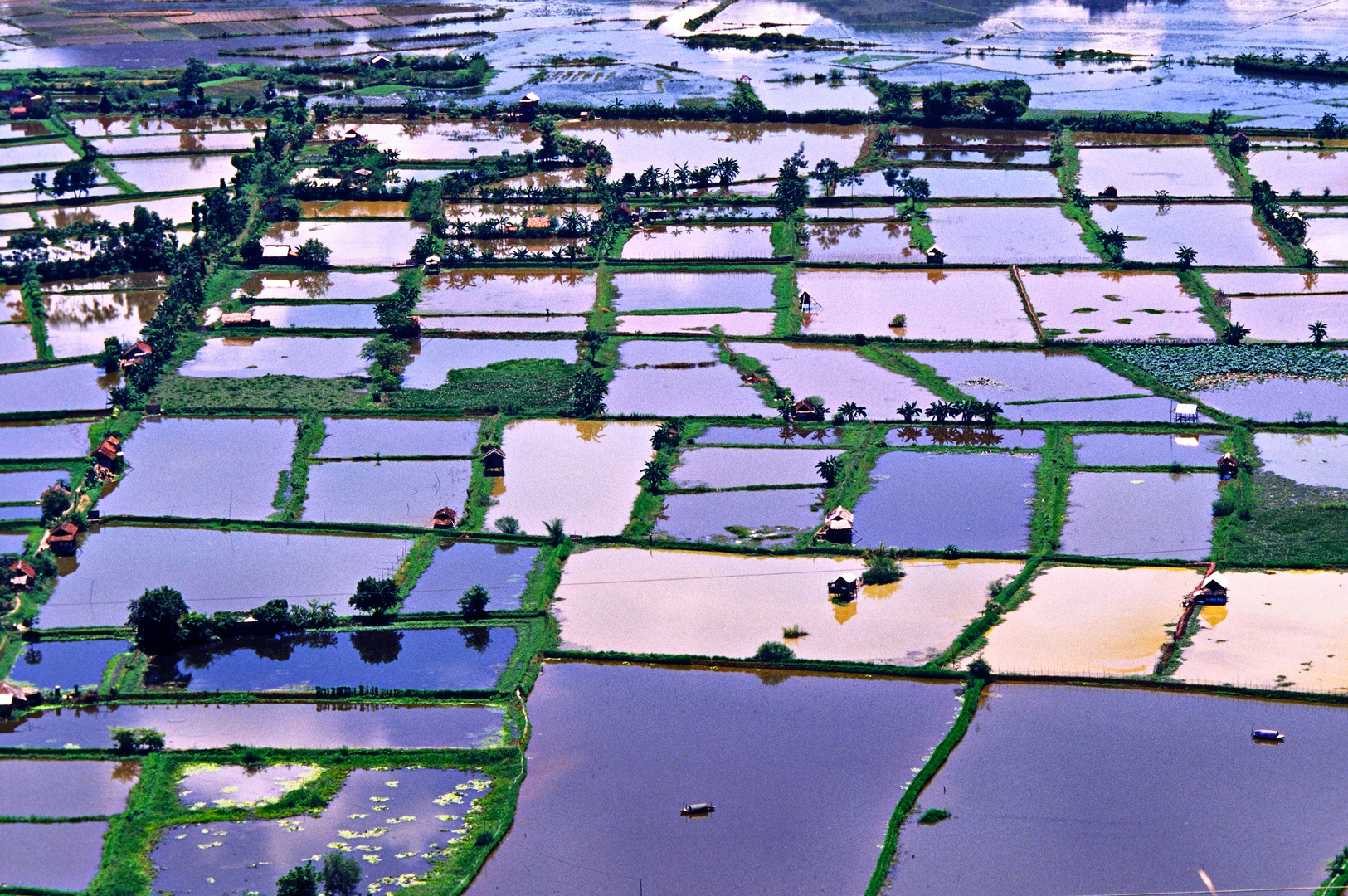 Reisfelder bei Hoa Binh 