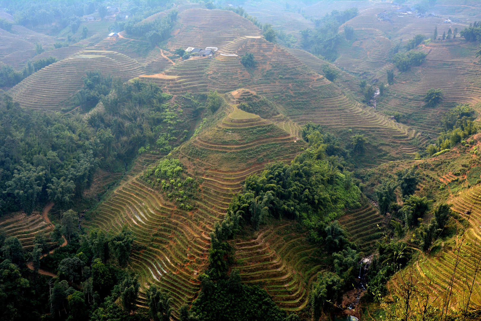 Reisfelder bei Sapa im Norden von Vietnam