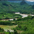 Reisfelder im Norden von Laos