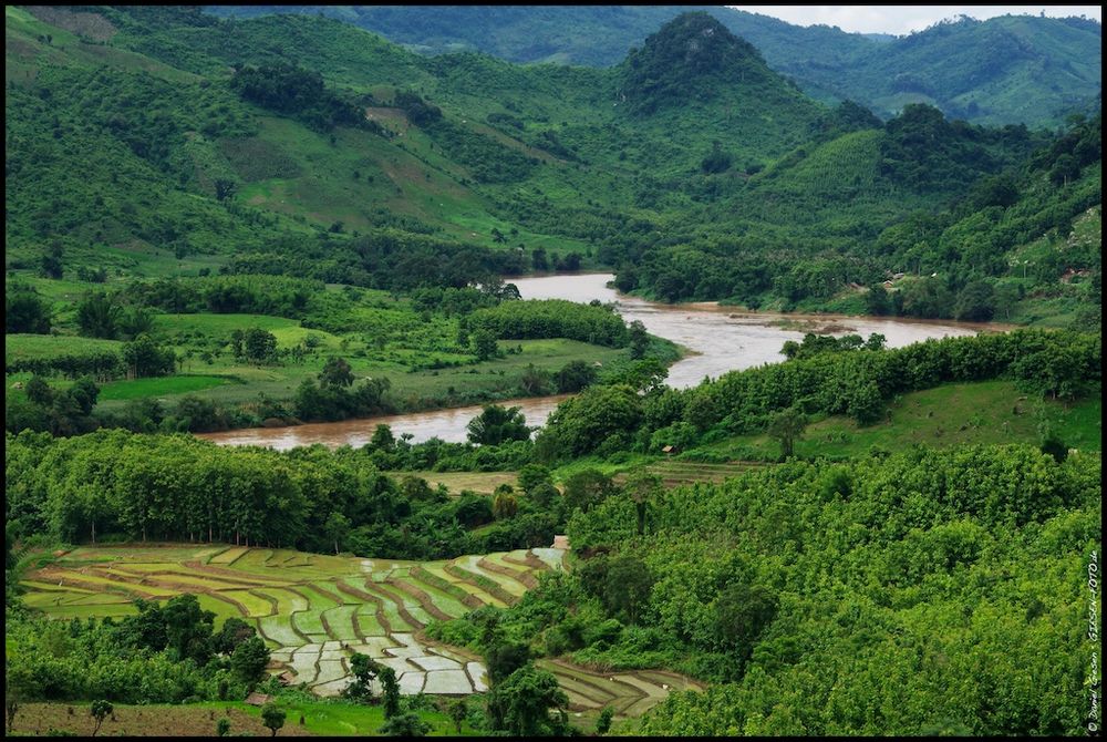 Reisfelder im Norden von Laos