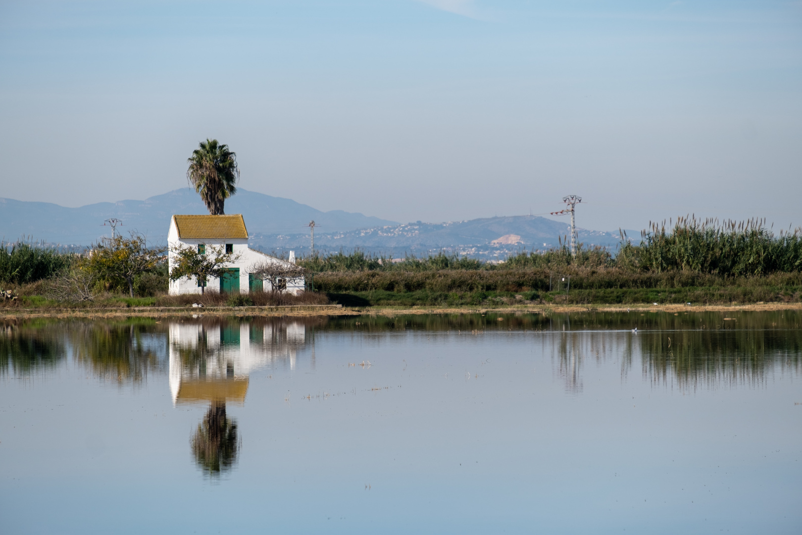 Reisfelder in Albufera Valencia