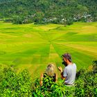 Reisfelder in Manggarai Flores Indonesien