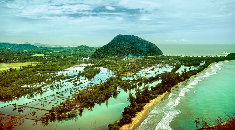 Reisfelder in Sumatra  Foto Bild landschaft  meer 