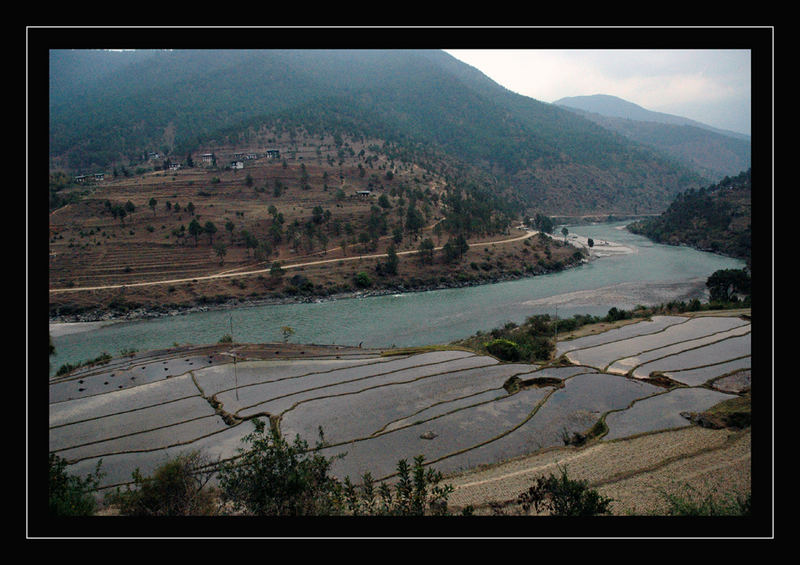Reisfelder irgendwo unterwegs in Bhutan