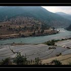 Reisfelder irgendwo unterwegs in Bhutan