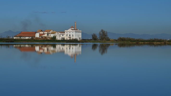 Reismühle im Reisfeld