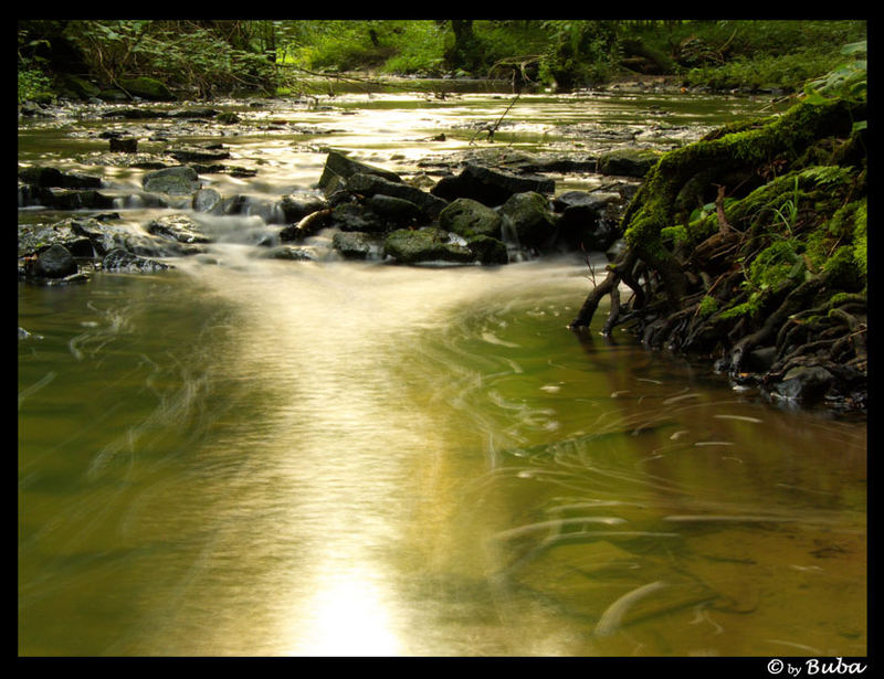 Reissende Fluss