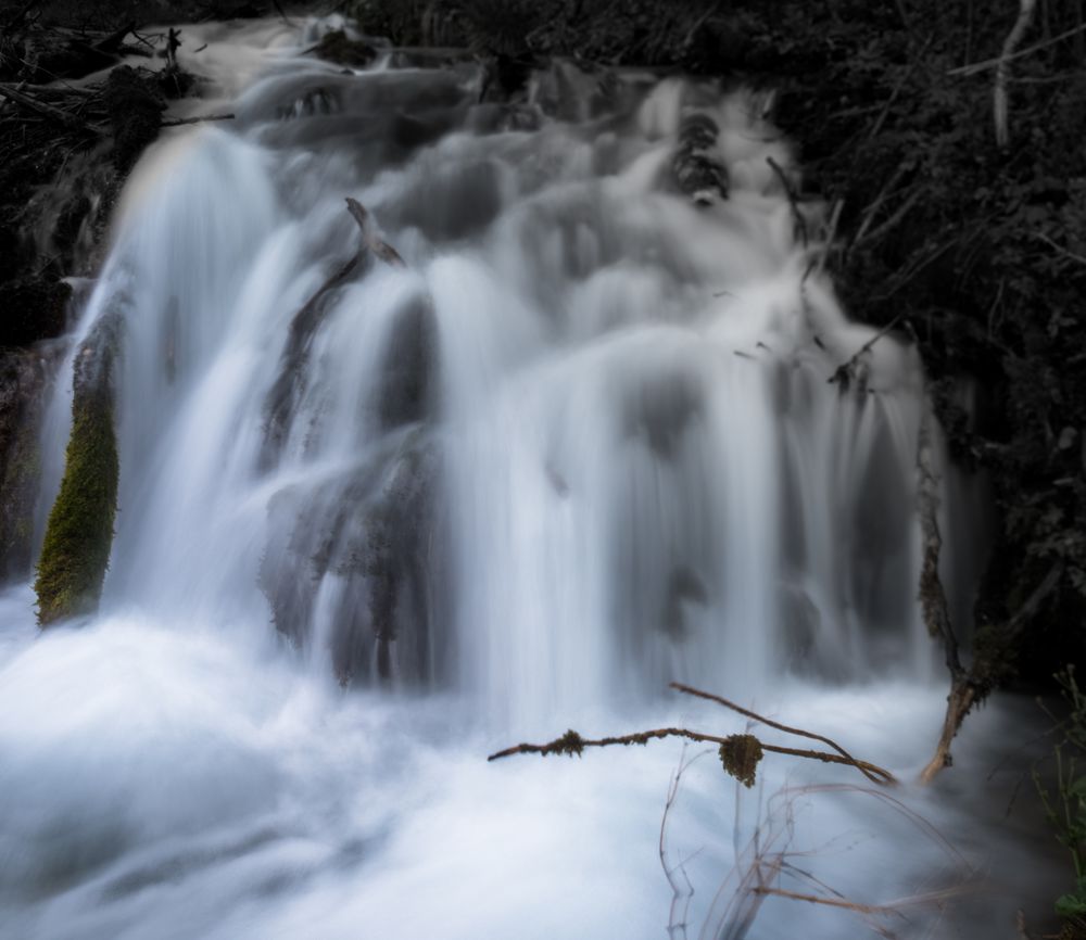 reißende Natur