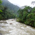 Reißender Fluß im Bergregenwald von Ecuador