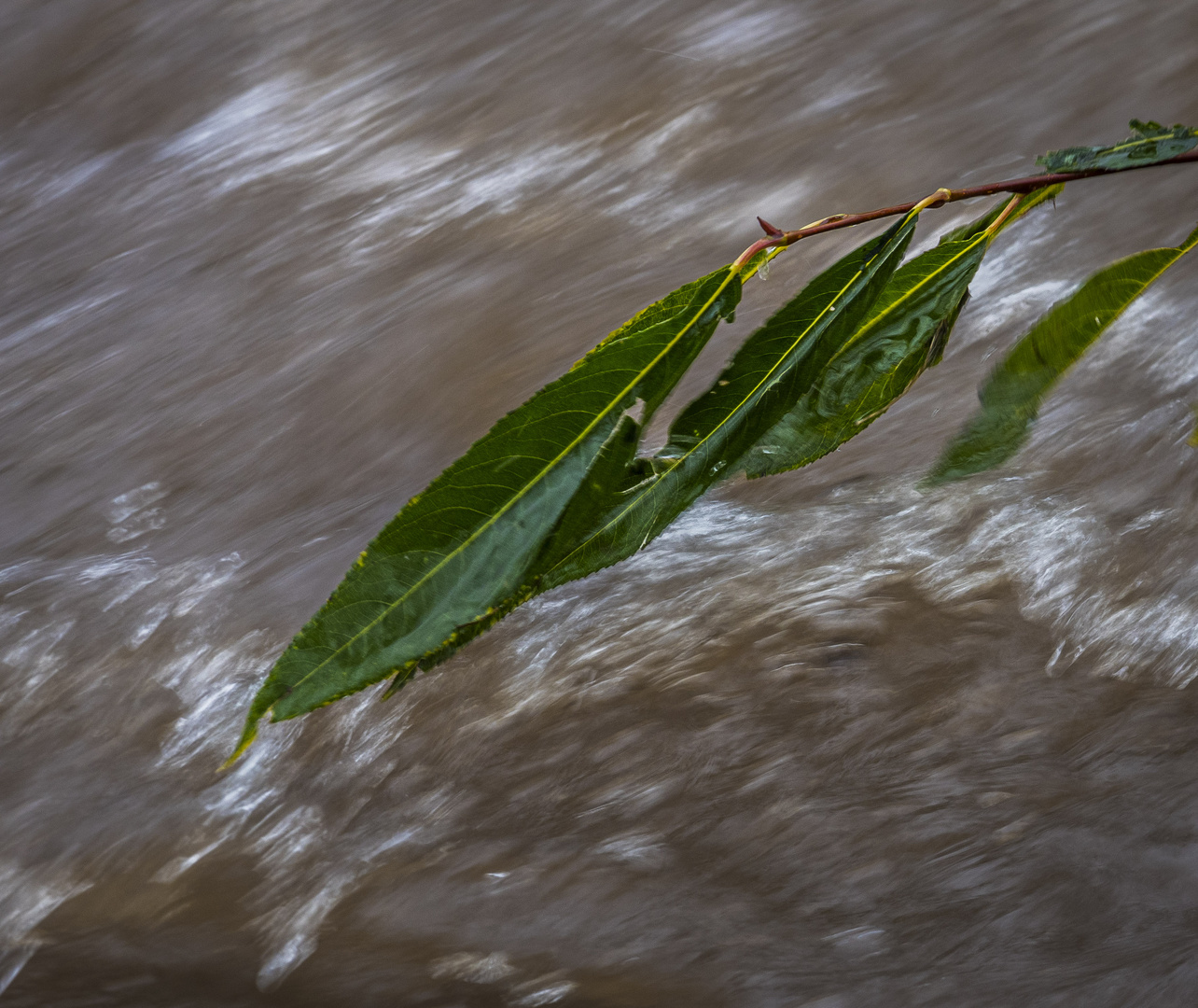 Reissendes Wasser 2