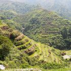 Reisterassen bei Banaue