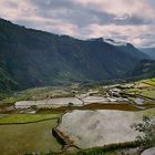 Reisterassen bei Sagada -Philippinen