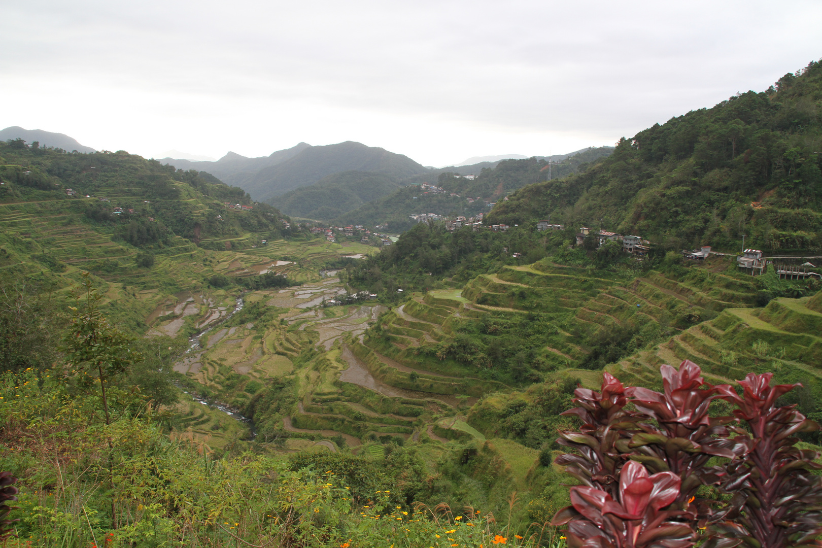 Reisterassen von Banaue Philppinen