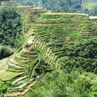 Reisterrassen bei Banaue,