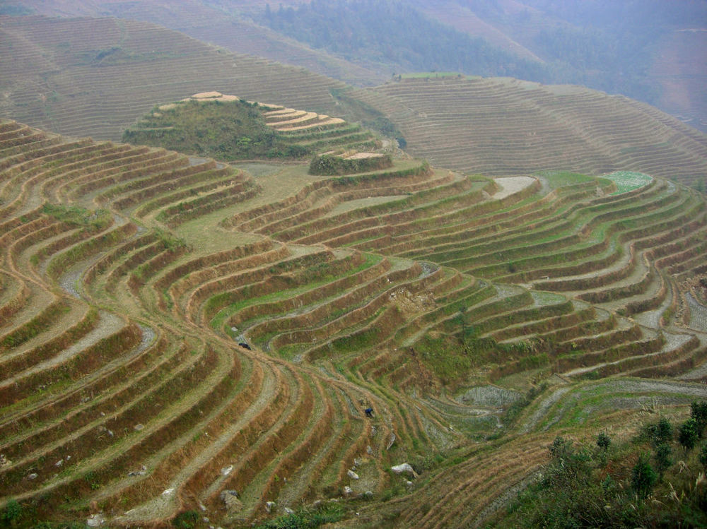 Reisterrassen bei Longsheng Bild 1