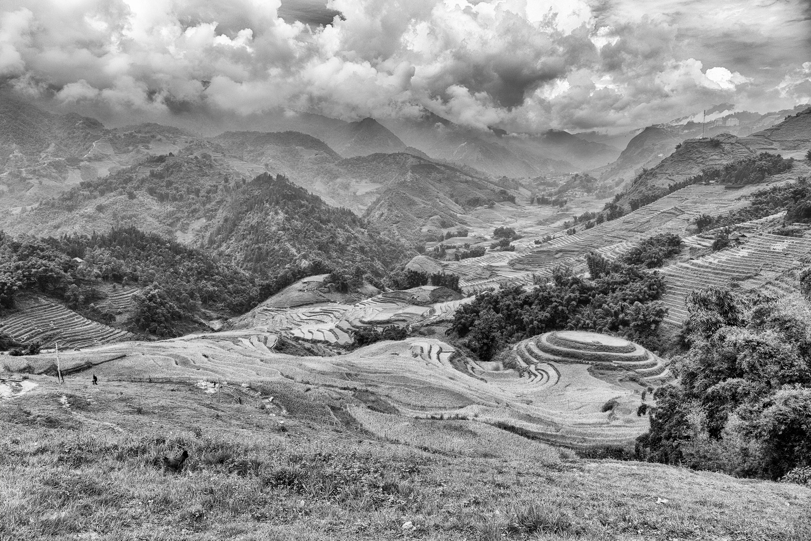 Reisterrassen bei Sapa 03